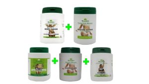 Compléments alimentaires minceur en cure de 3 mois