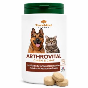 meilleur complément articulaire pour chien sénior complément naturel pour articulations du chien comprimés pour arthrose chien âgé aide mobilité chien sénior protection des articulations chien complément glucosamine chien complément chondroïtine chien