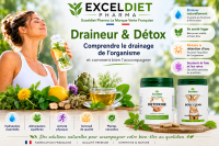 Draineur & Détox : comprendre le drainage de l’organisme et comment bien l’accompagner